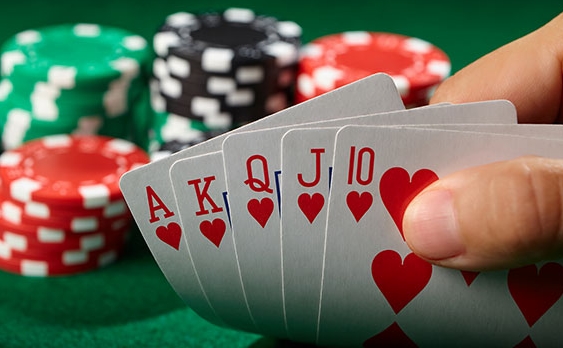 jili777
jiliasia slot
90jili
vip slot 777
fishing slot 777
777 slots casino
777 bet online casino
slot 777 online
777 slots login
jiliplay888
777live casino login
777live casino login download